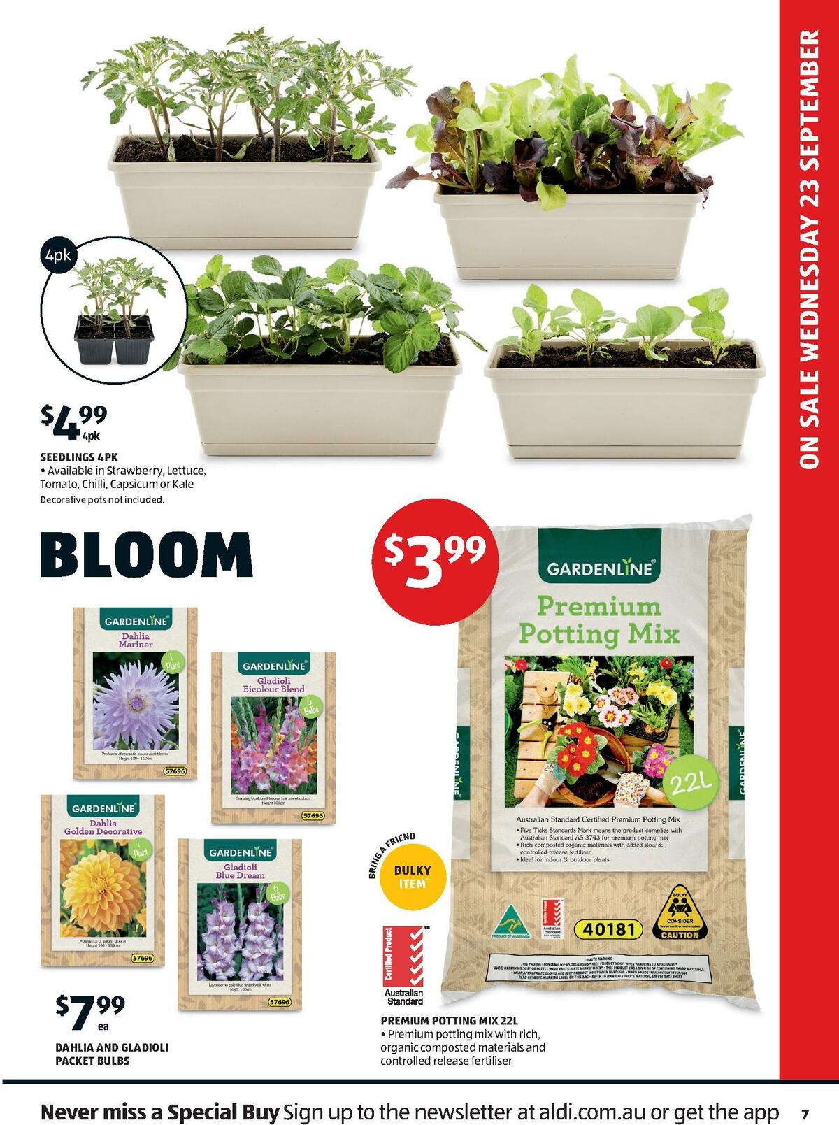 ALDI Catalogues from 23 September