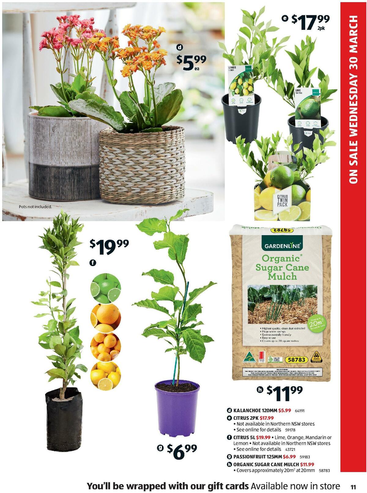 ALDI Catalogues from 30 March