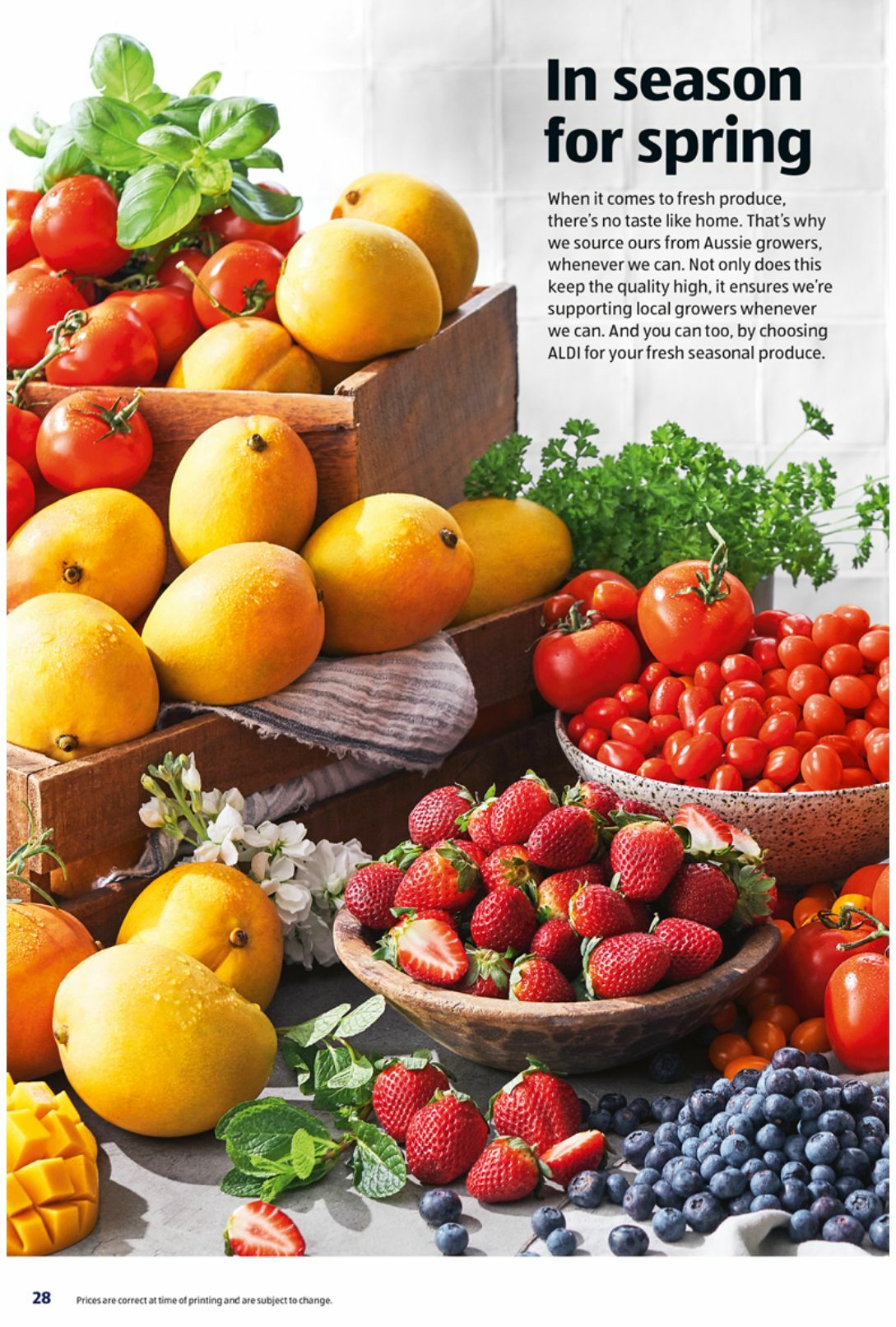 ALDI Catalogues from 19 October