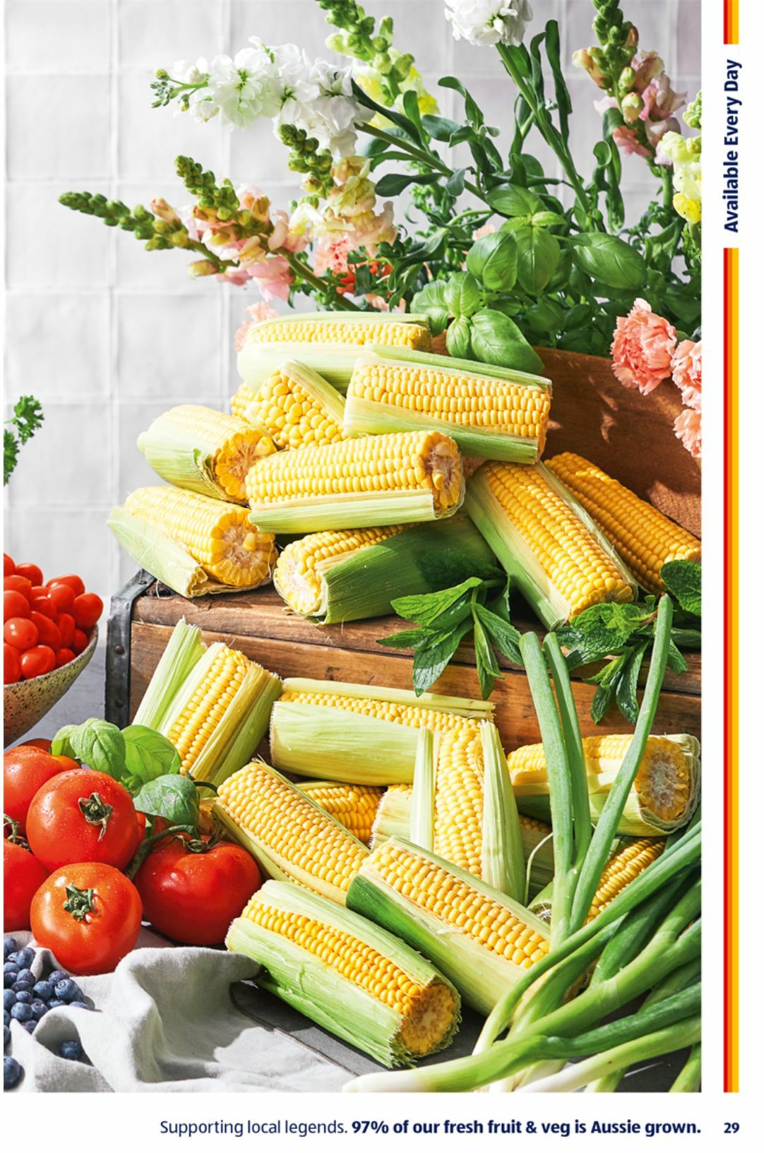 ALDI Catalogues from 19 October