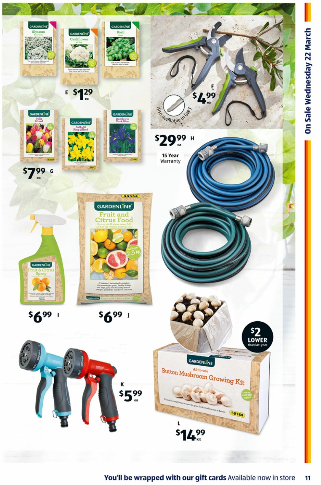 ALDI Catalogues from 22 March