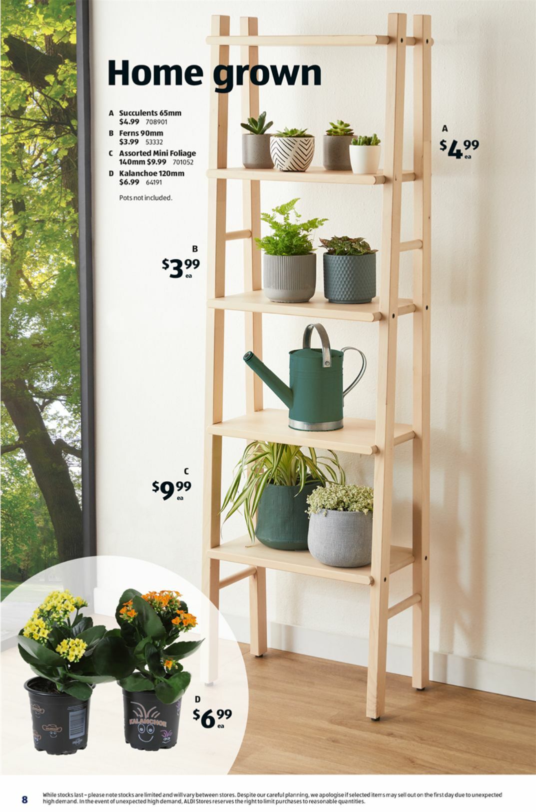 ALDI Catalogues from 22 March