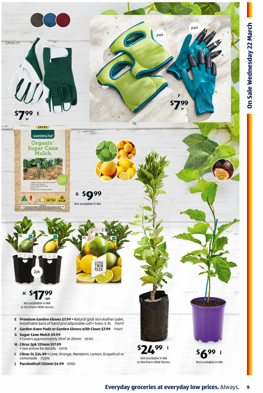 ALDI Catalogues from 22 March