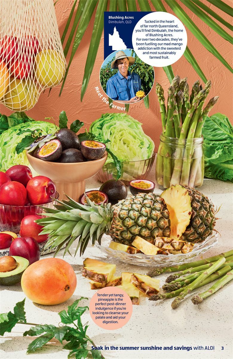 ALDI Summer Catalogues from 1 December