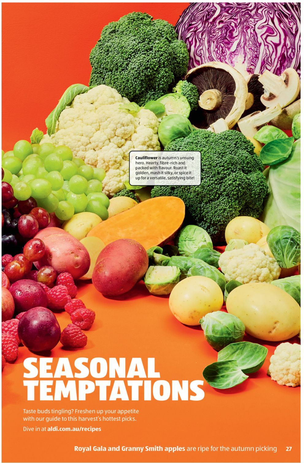 ALDI Catalogues from 5 March