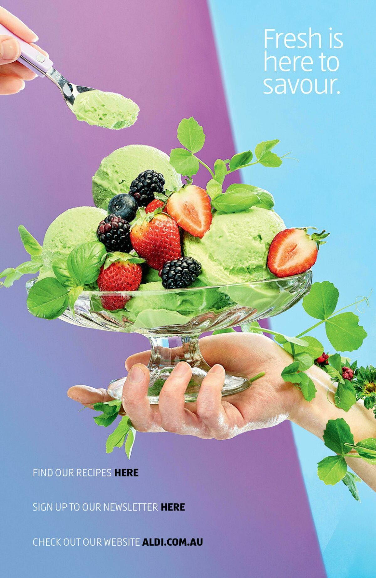 ALDI Here for the Spring Catalogues from 1 September