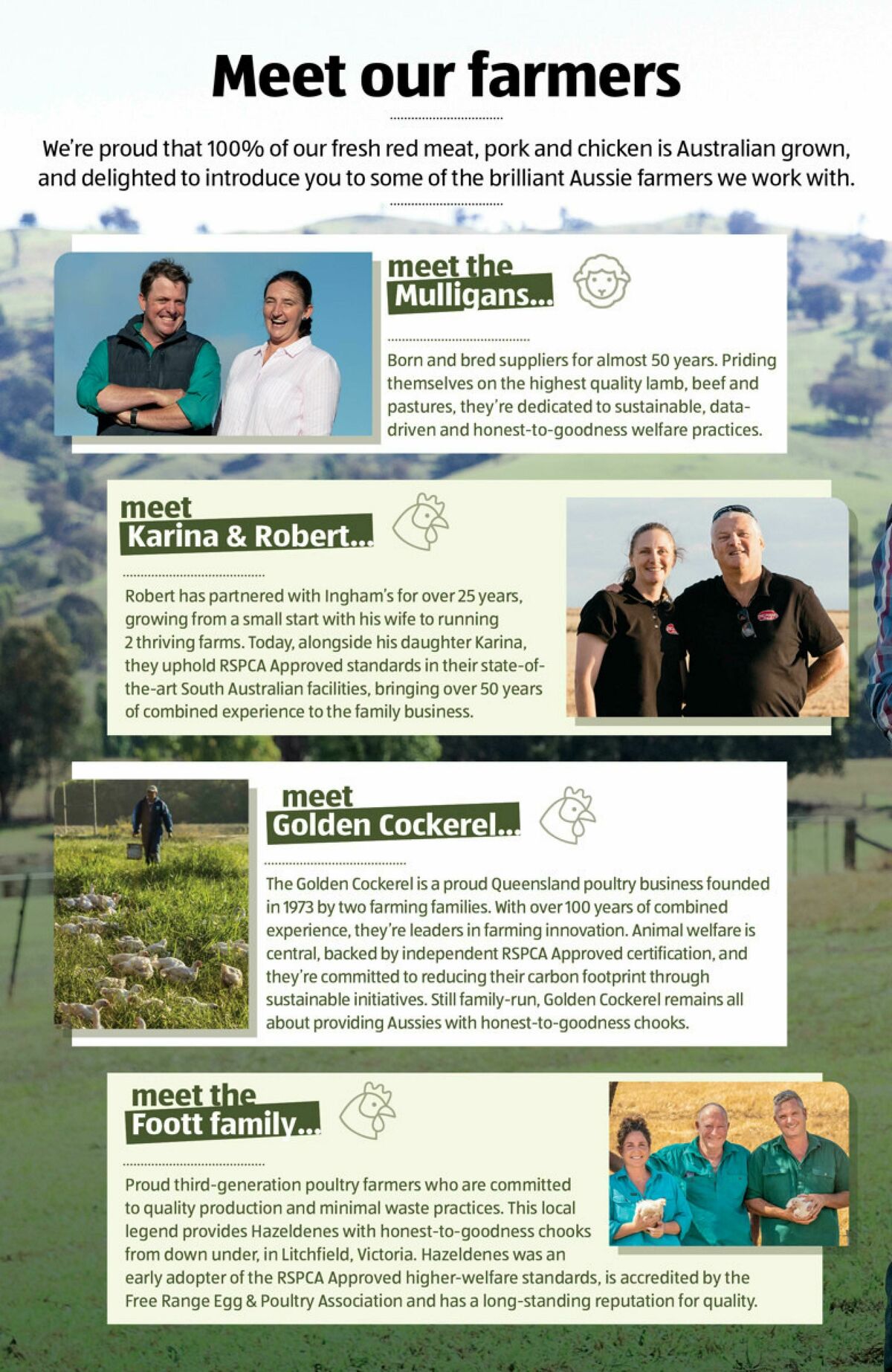 ALDI A Cut Above Catalogues from 19 November