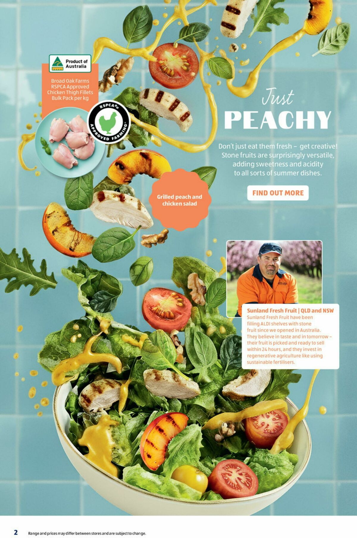 ALDI Here for the Summer Catalogues from 8 December