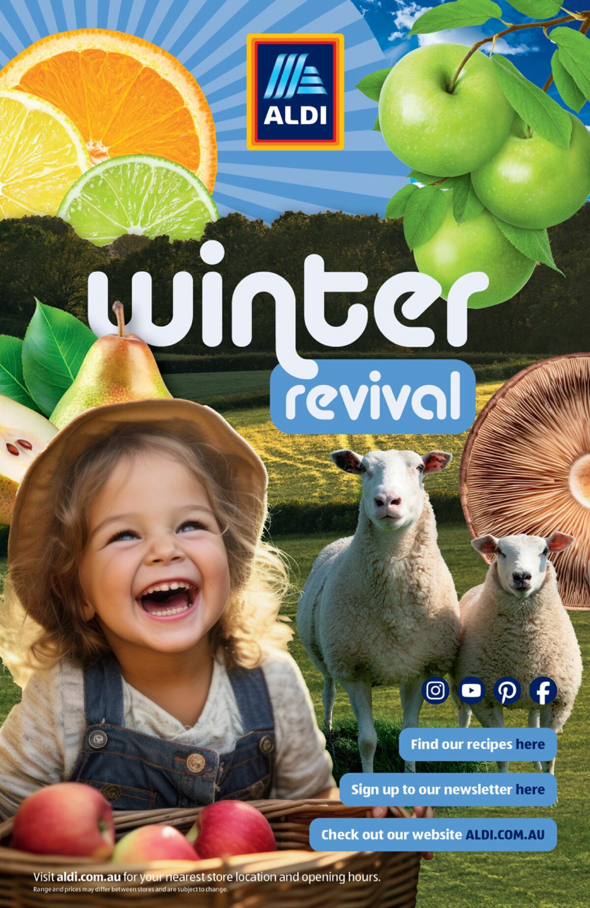 ALDI Winter Catalogues from 1 June