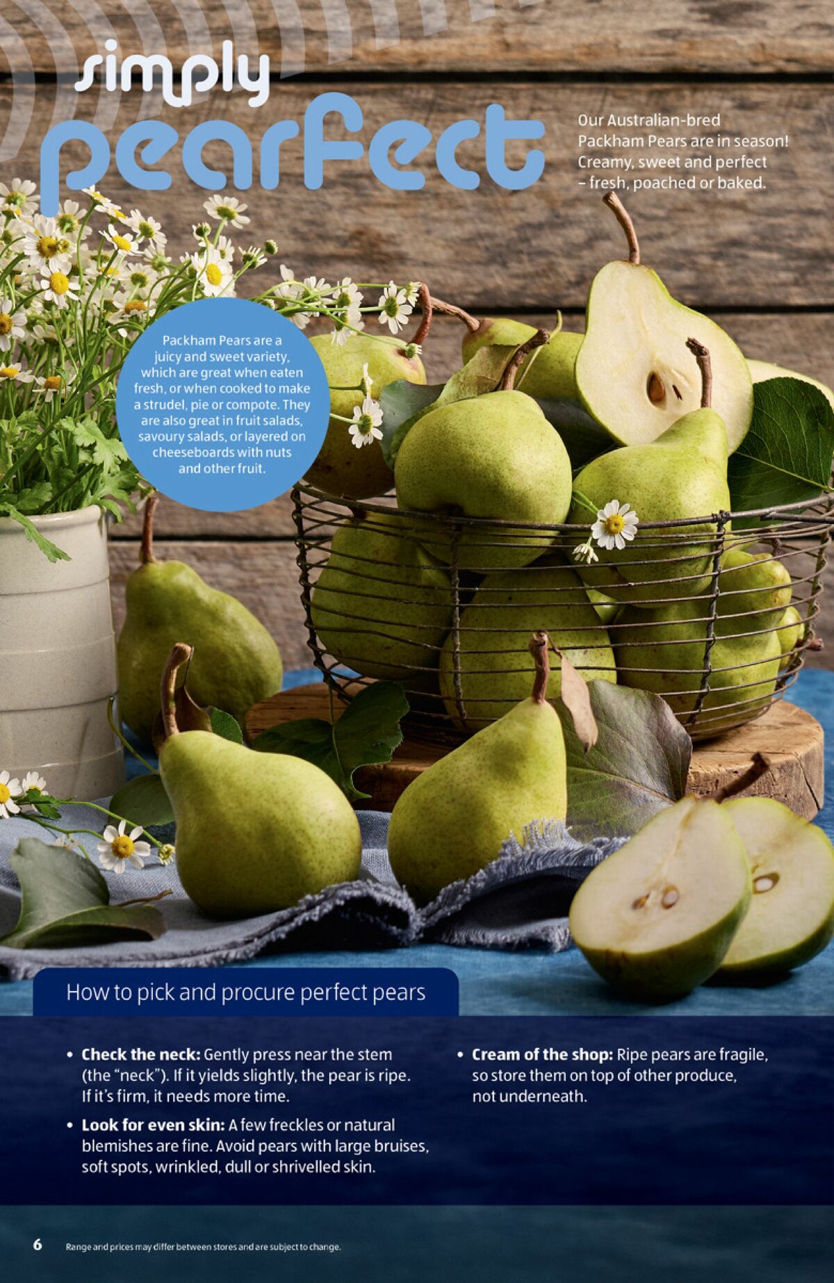 ALDI Winter Catalogues from 1 June