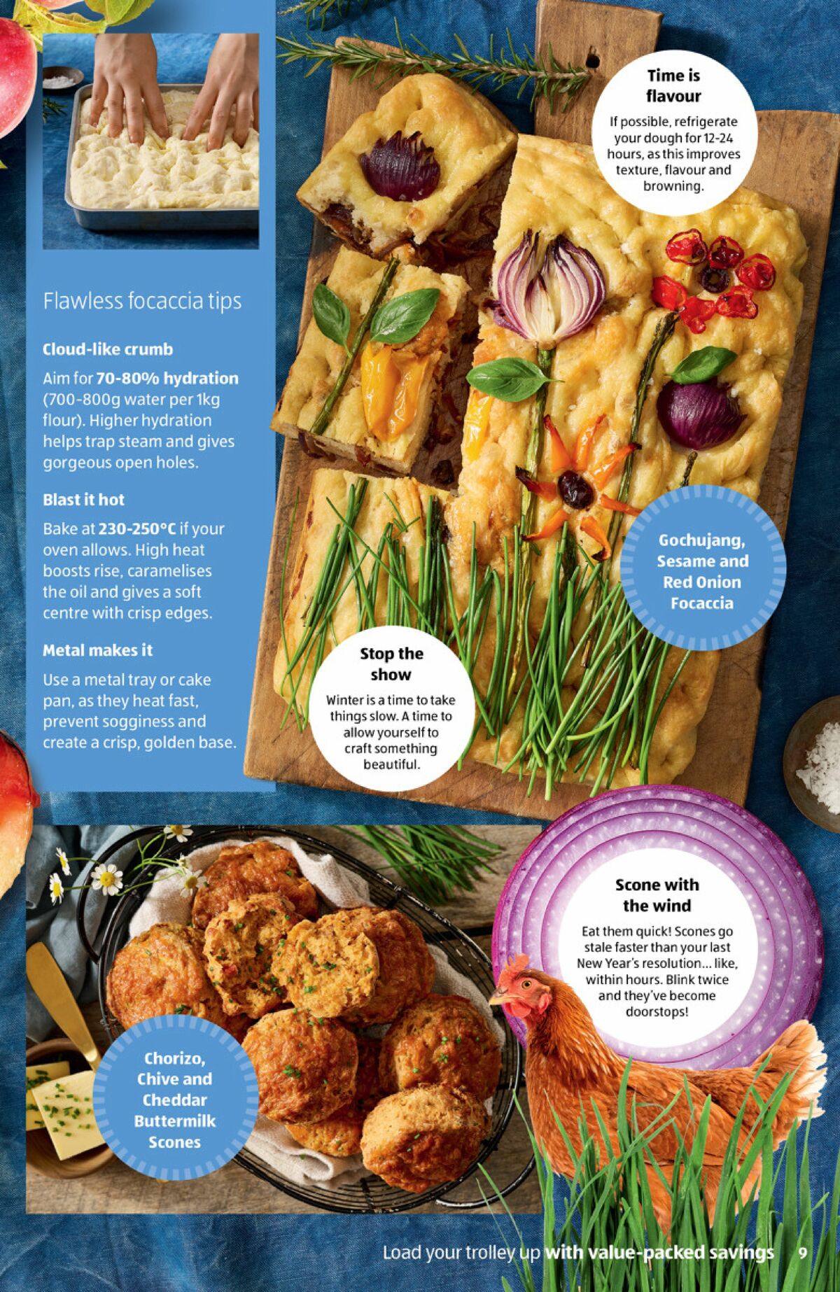 ALDI Winter Catalogues from 1 June