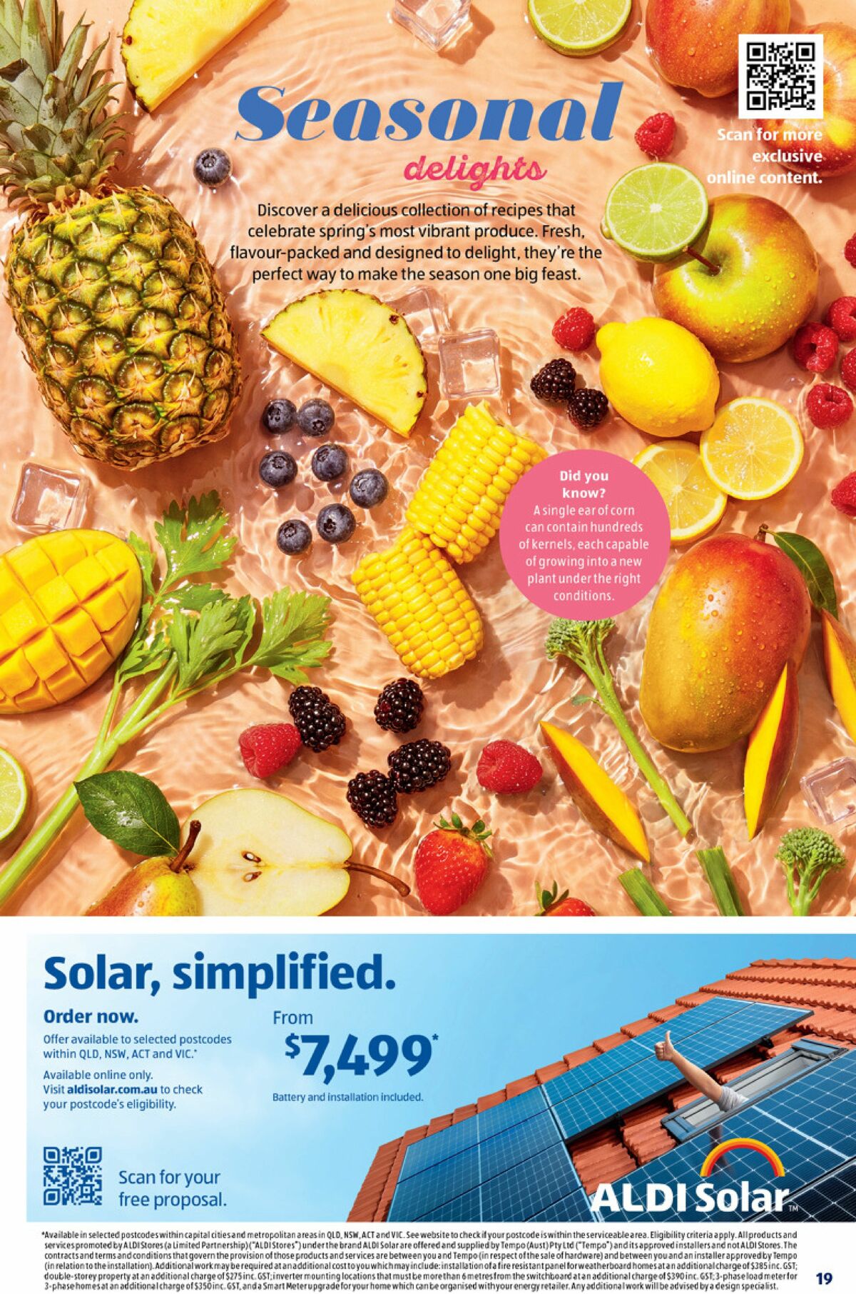 ALDI Catalogues from 16 September