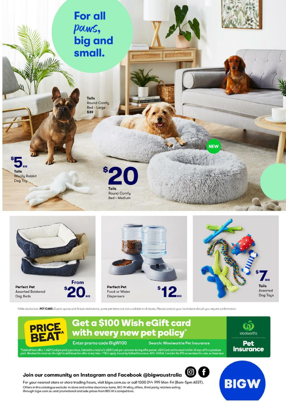 Big W Holiday Fun for Everyone Catalogues from 17 September