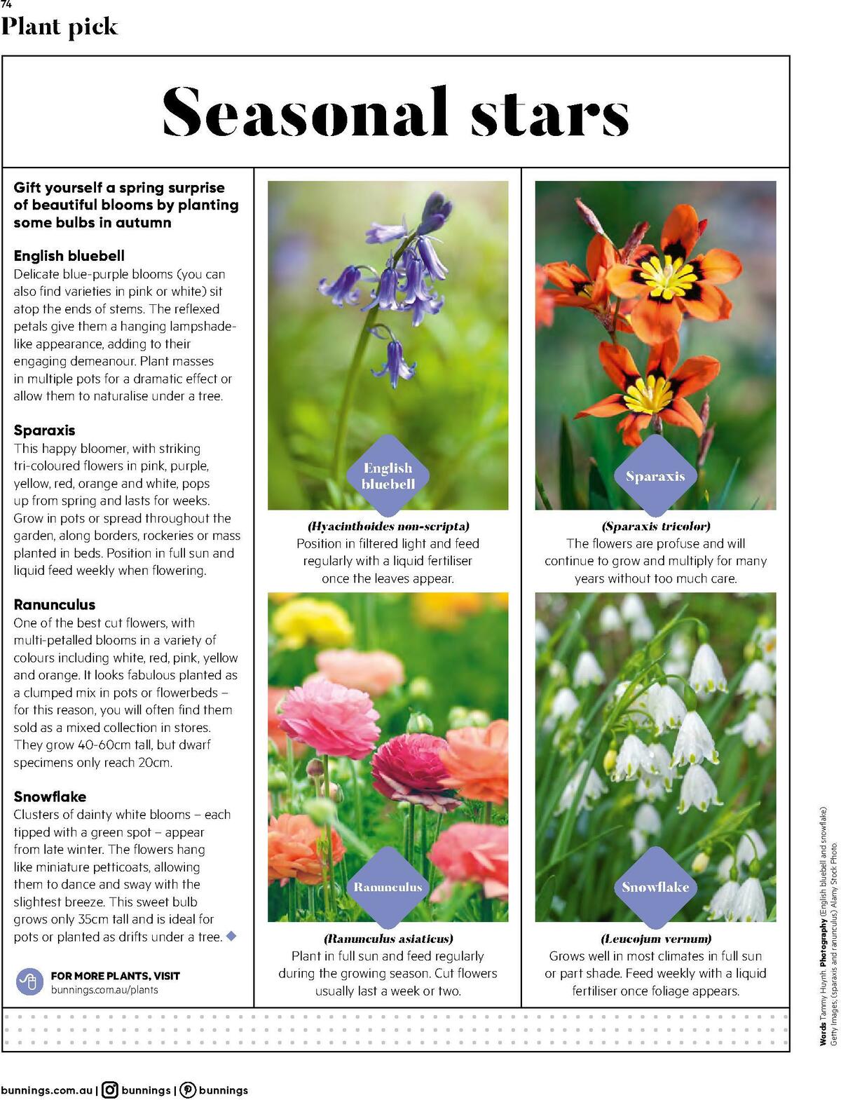 Bunnings Warehouse Catalogues from 1 March