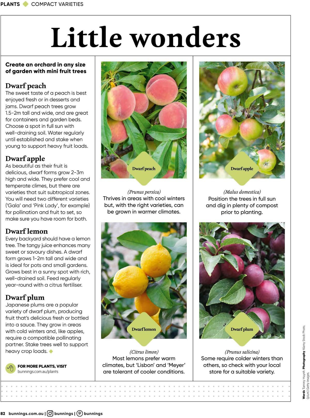 Bunnings Warehouse Magazine May/June Catalogues from 1 May