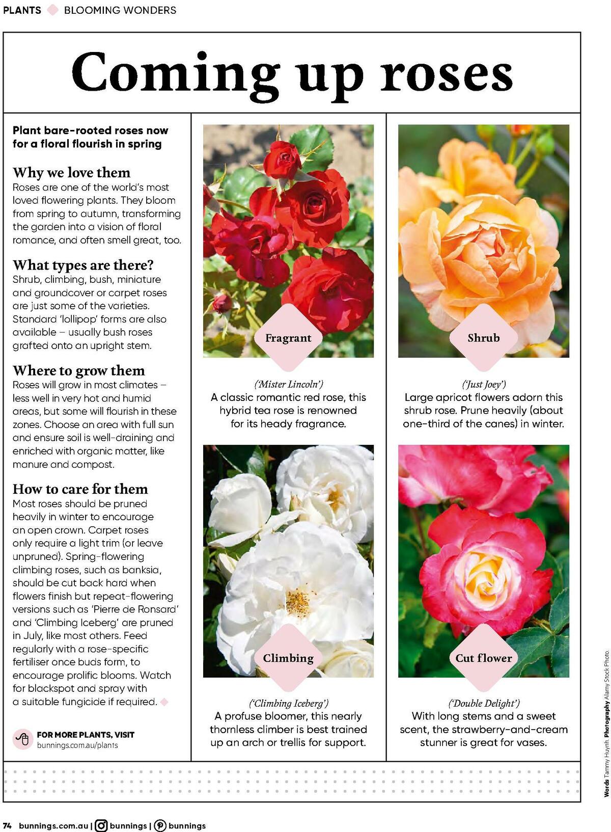 Bunnings Warehouse Magazine July Catalogues from 1 July