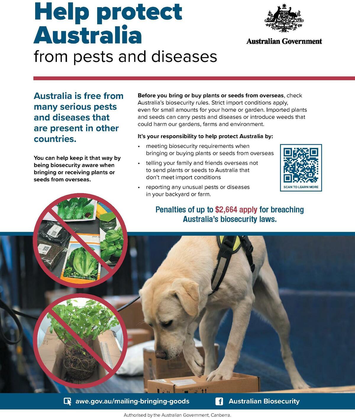 Bunnings Warehouse Magazine July Catalogues from 1 July