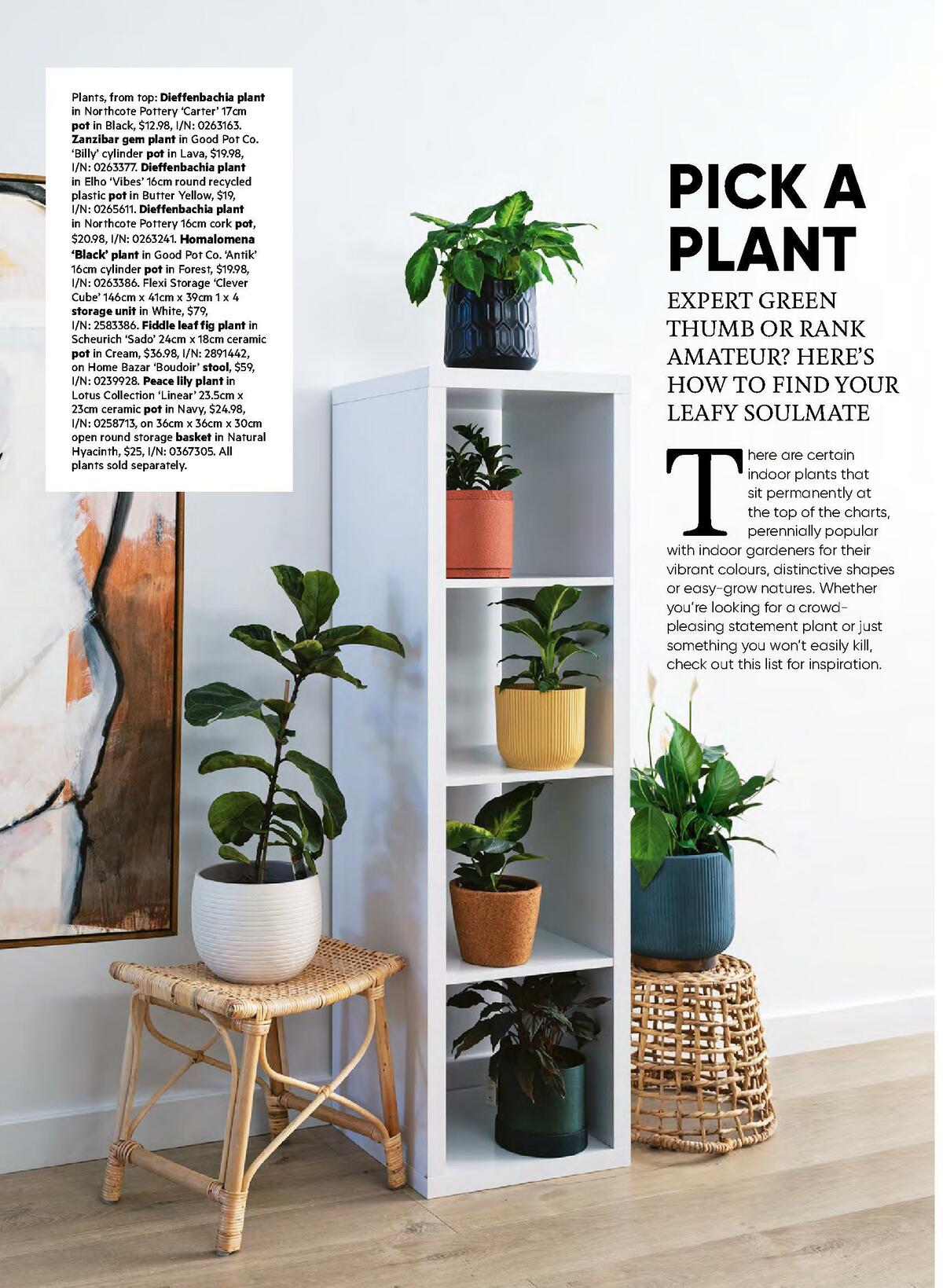 Bunnings Warehouse Magazine August Catalogues from 1 August