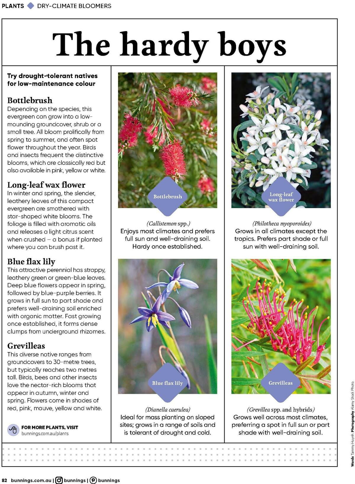 Bunnings Warehouse Magazine August Catalogues from 1 August