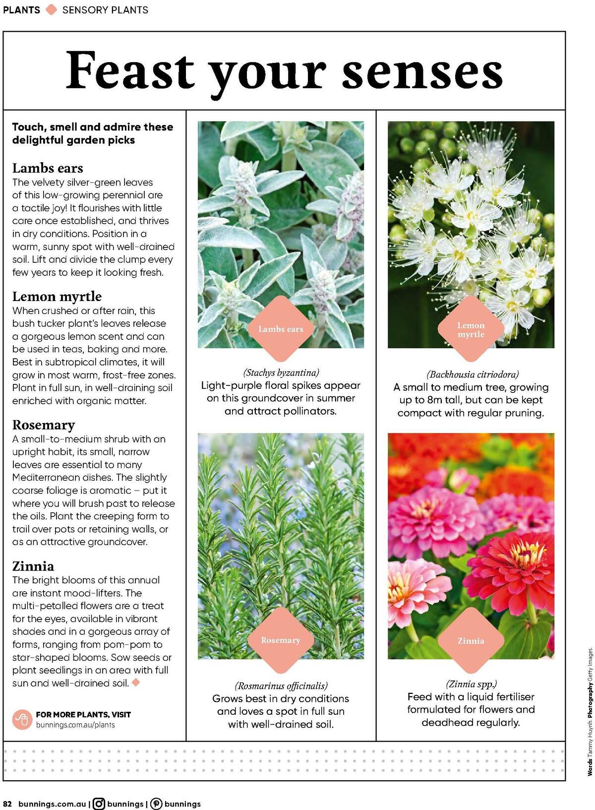 Bunnings Warehouse Magazine October Catalogues from 1 October