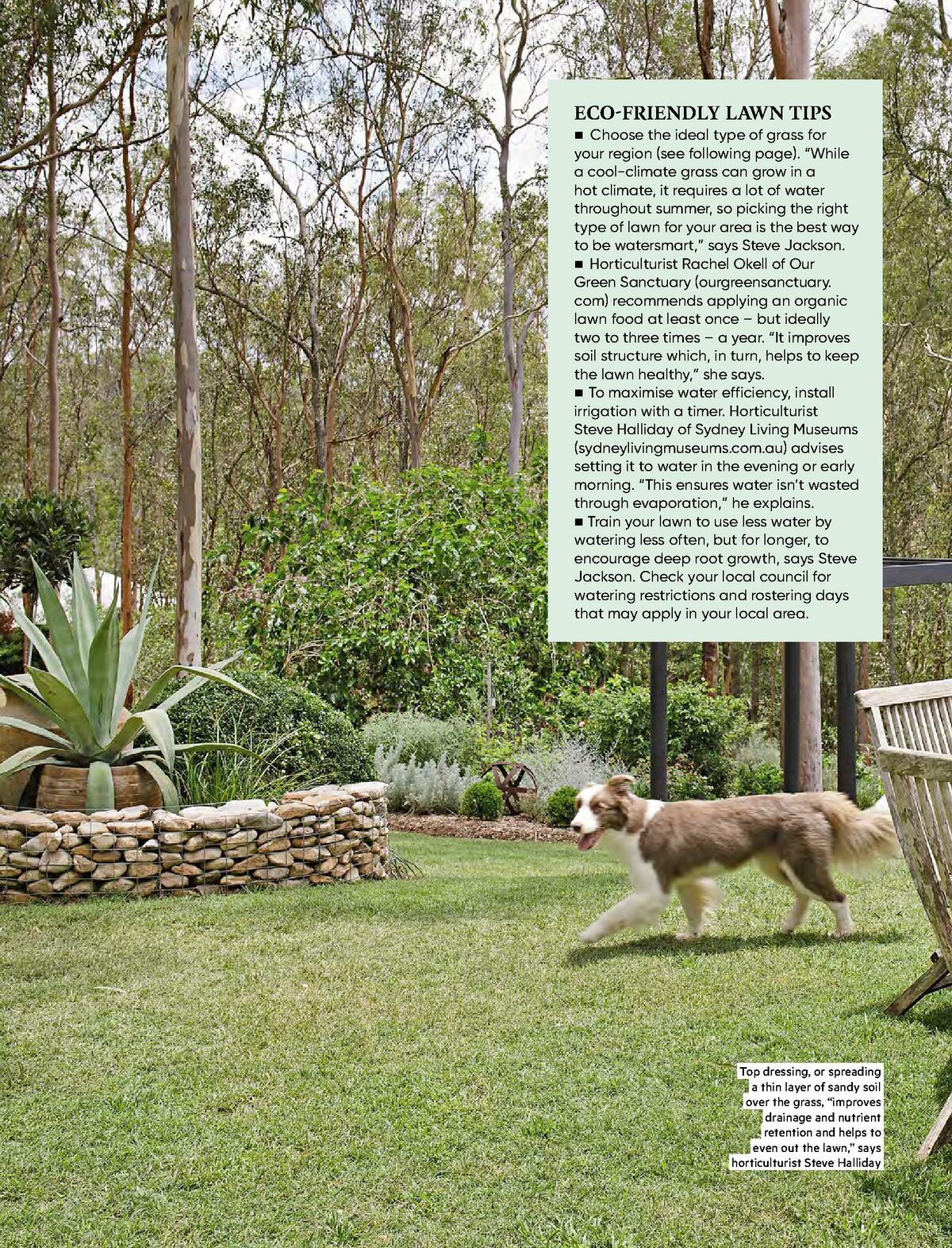 Bunnings Warehouse Magazine November Catalogues from 1 November