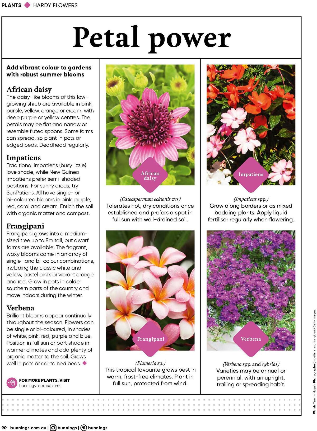 Bunnings Warehouse Magazine November Catalogues from 1 November