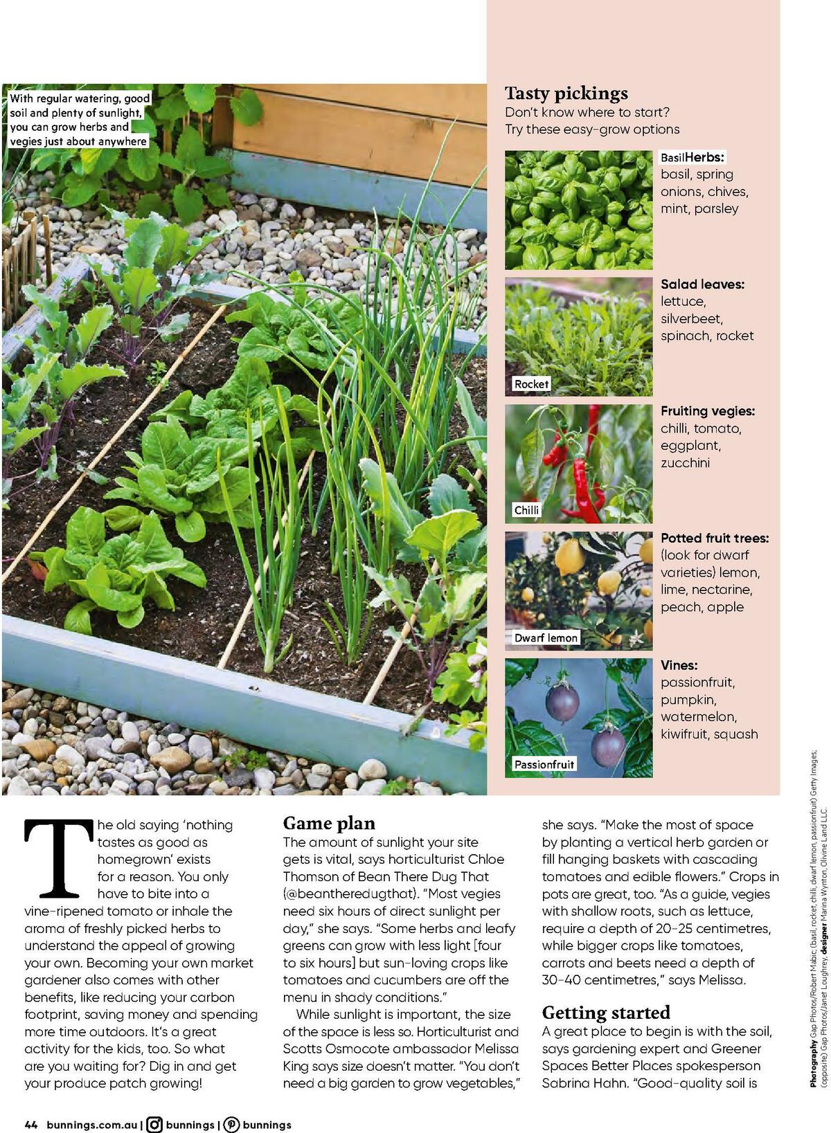 Bunnings Warehouse Magazine December Catalogues from 1 December