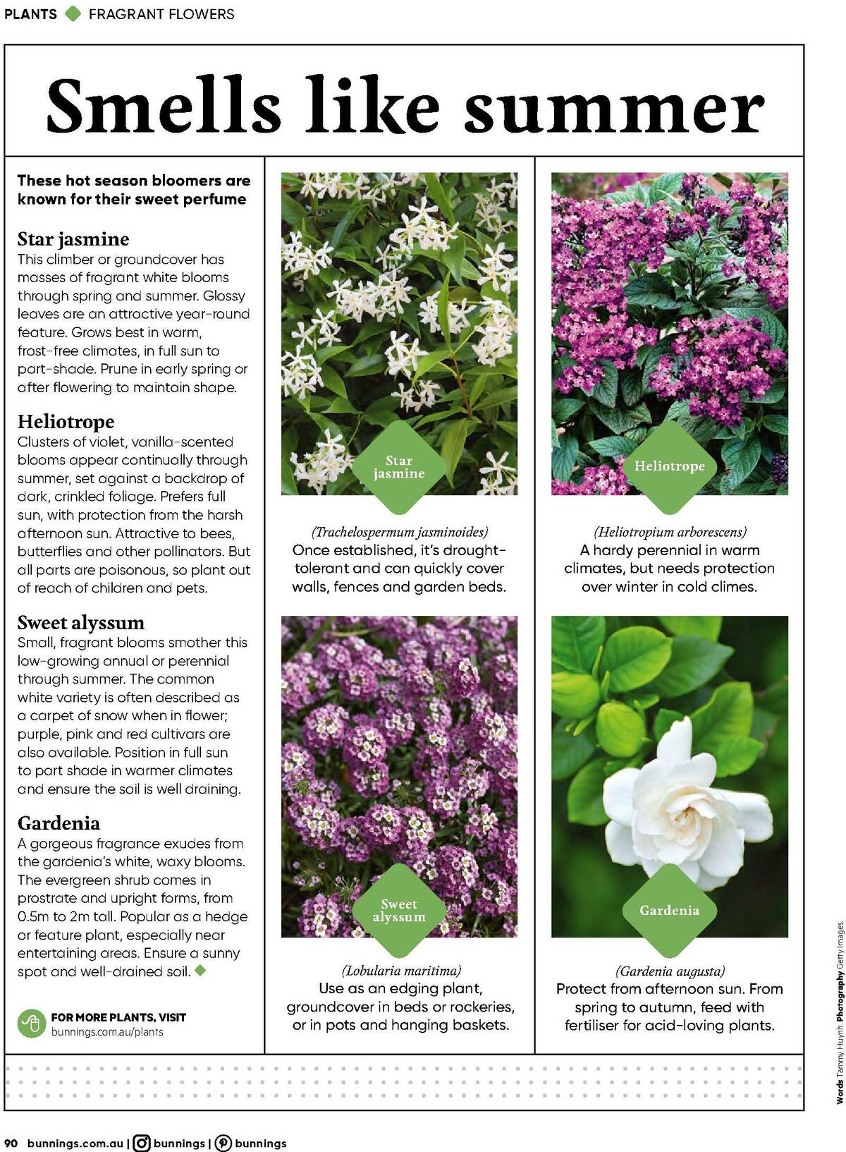 Bunnings Warehouse Magazine December Catalogues from 1 December