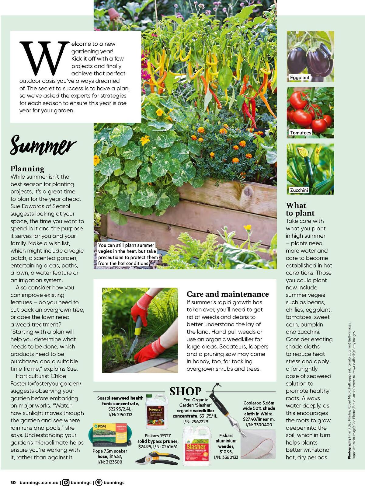 Bunnings Warehouse Magazine January Catalogues from 1 January