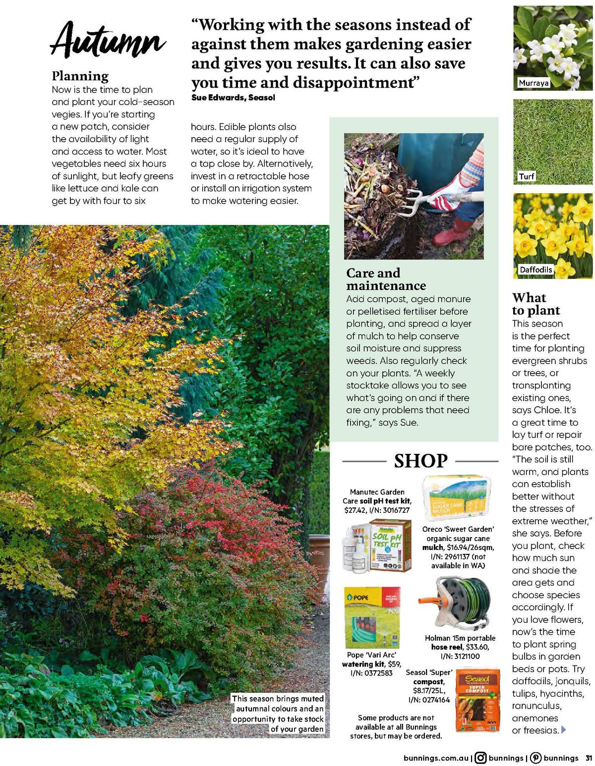 Bunnings Warehouse Magazine January Catalogues from 1 January