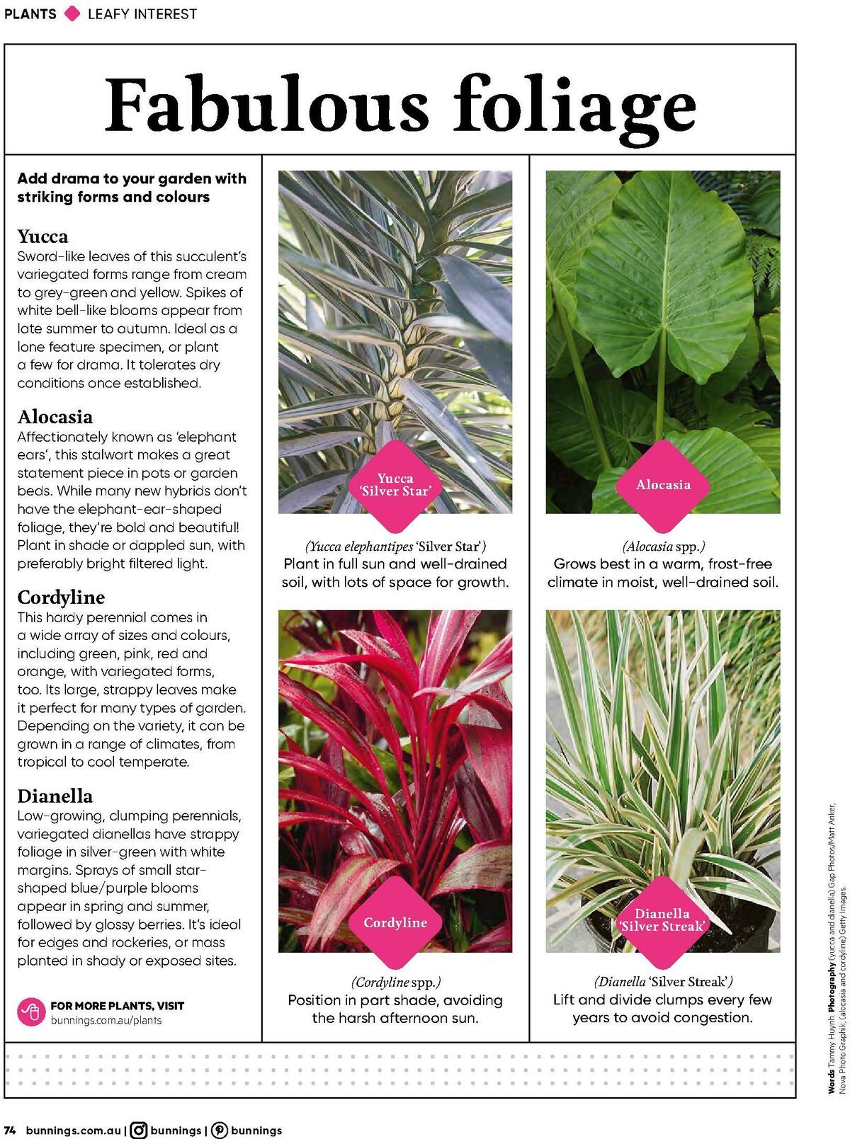 Bunnings Warehouse Magazine January Catalogues from 1 January