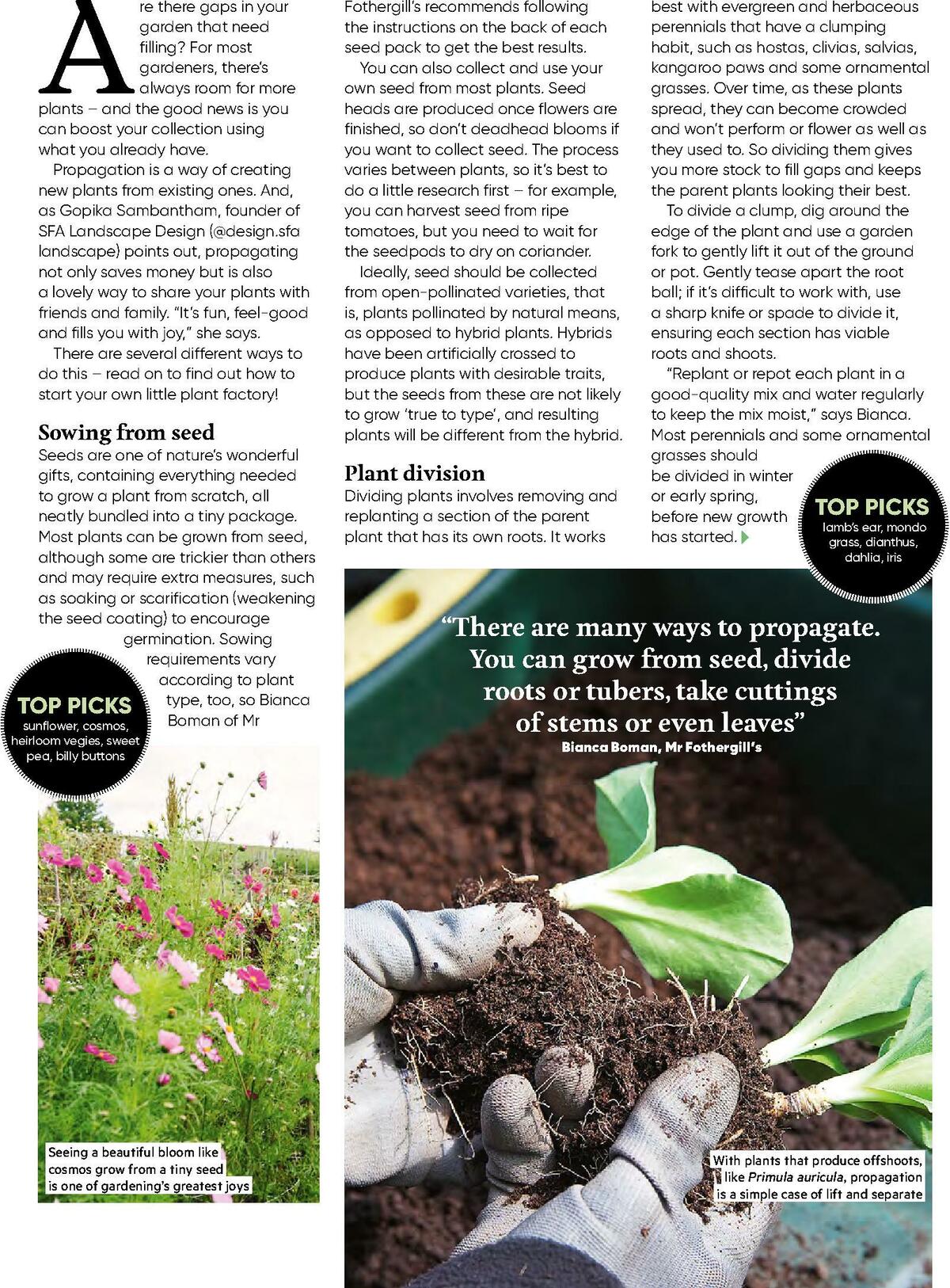 Bunnings Warehouse Magazine February Catalogues from 1 February