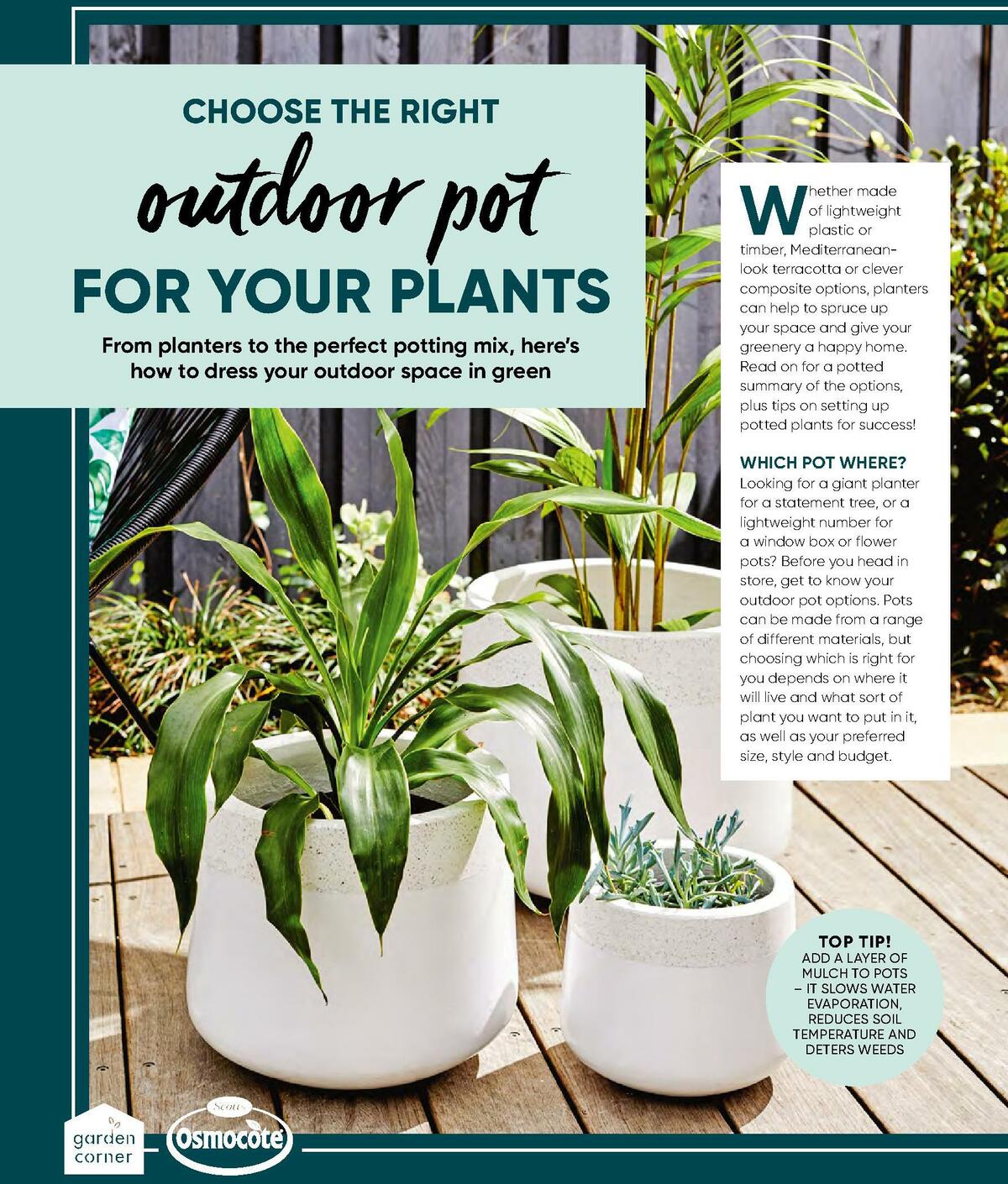 Bunnings Warehouse Magazine February Catalogues from 1 February