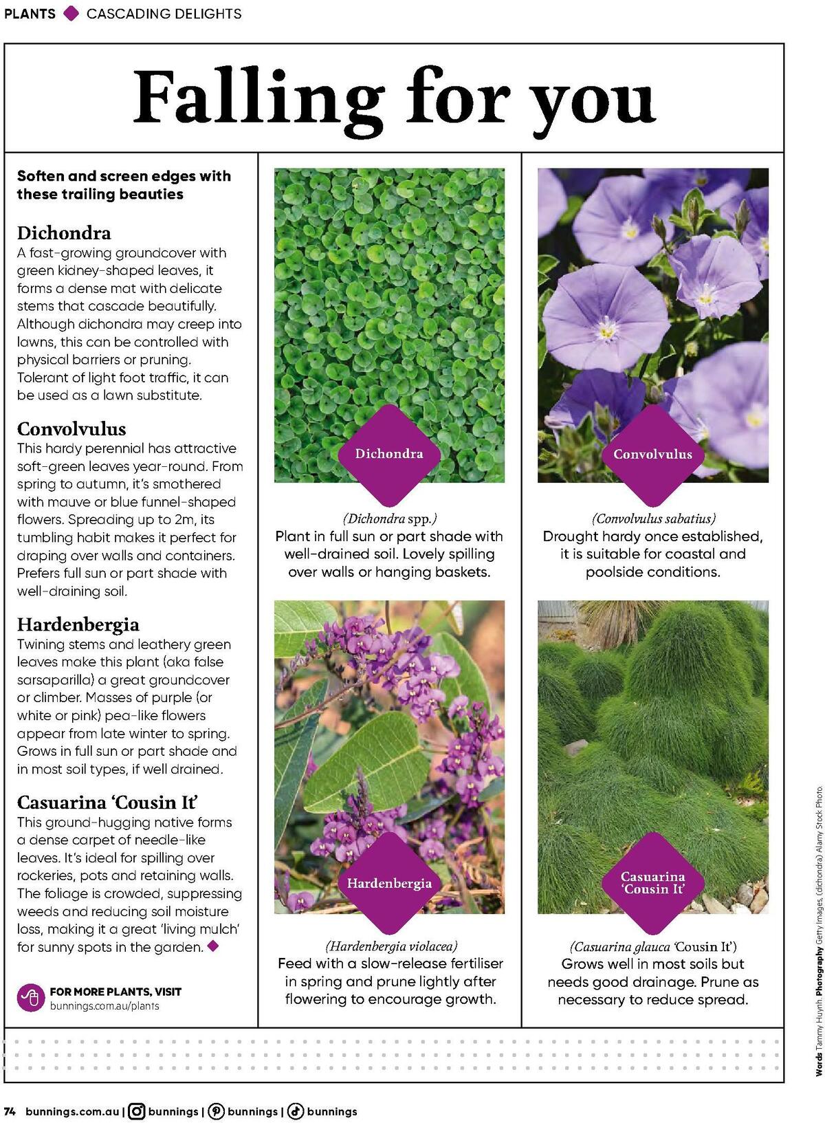 Bunnings Warehouse Magazine March Catalogues from 1 March