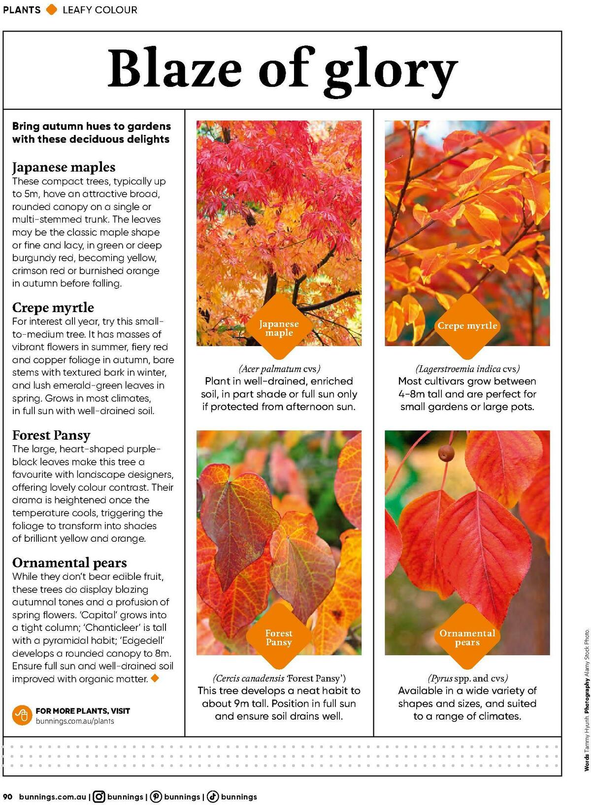 Bunnings Warehouse Magazine April Catalogues from 1 April