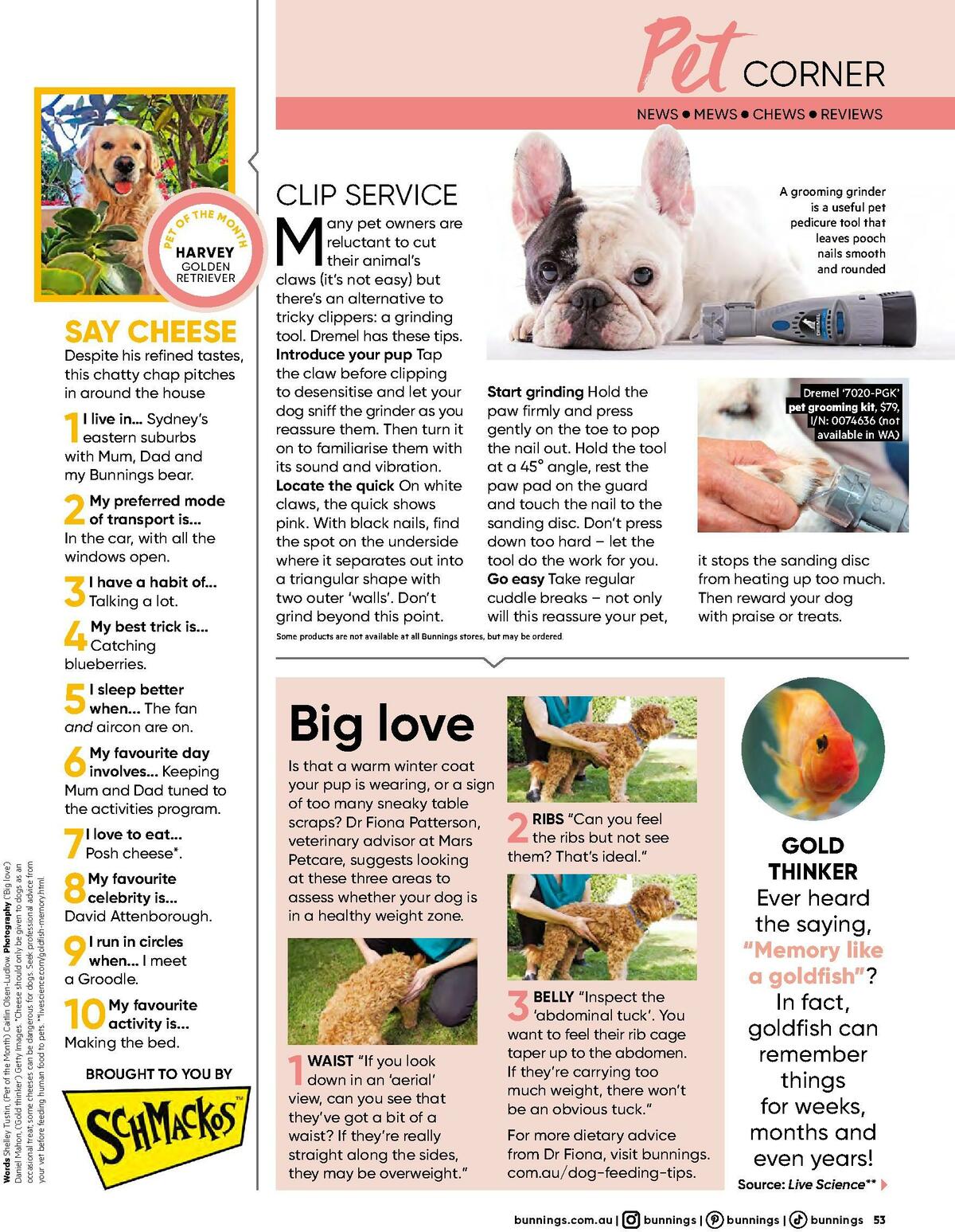 Bunnings Warehouse Magazine May/June Catalogues from 1 May