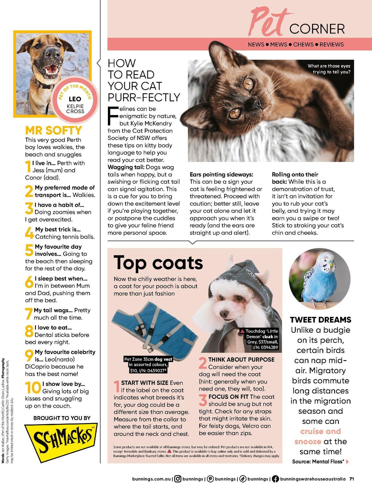 Bunnings Warehouse Magazine July Catalogues from 1 July