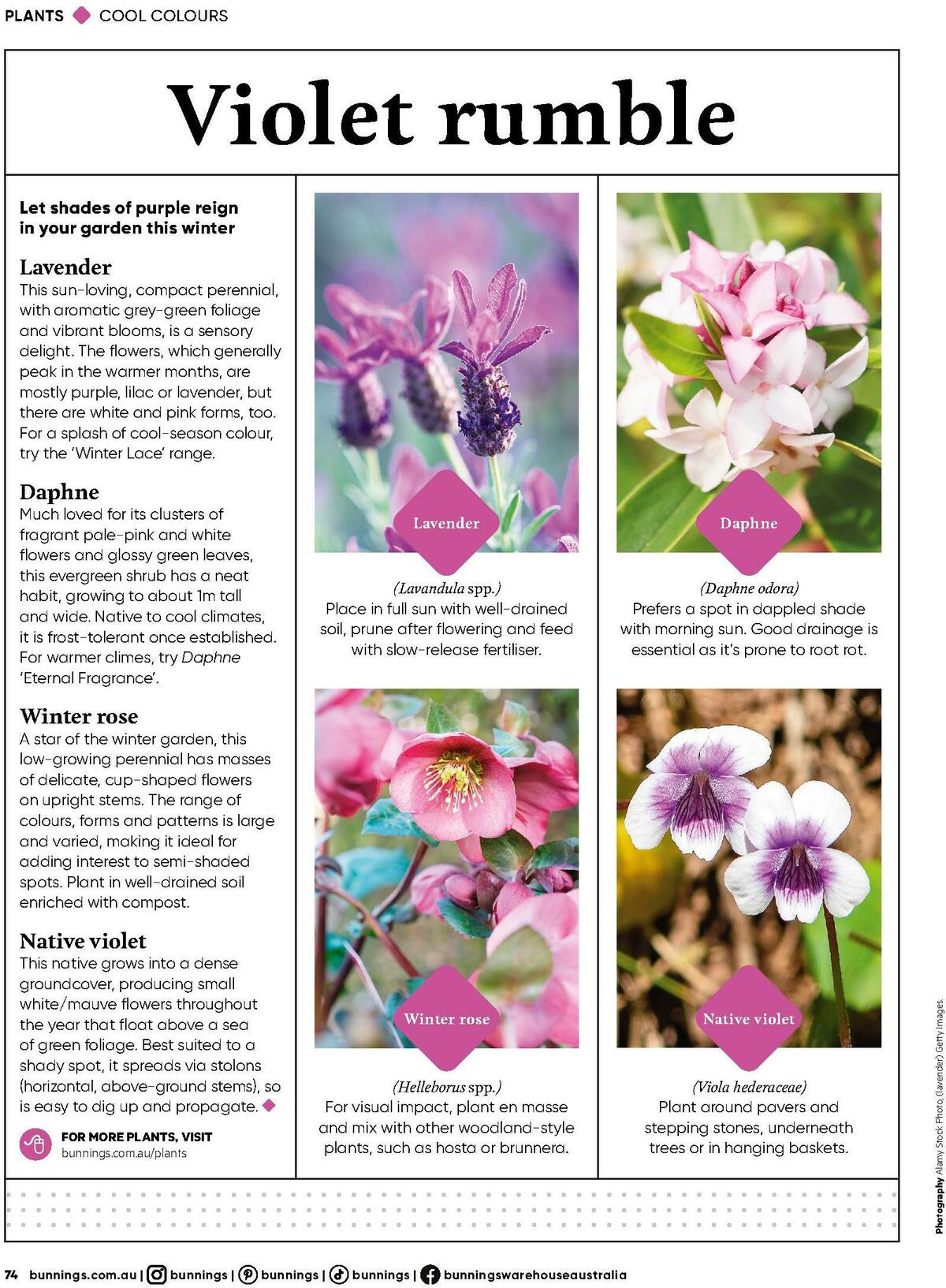 Bunnings Warehouse Magazine July Catalogues from 1 July