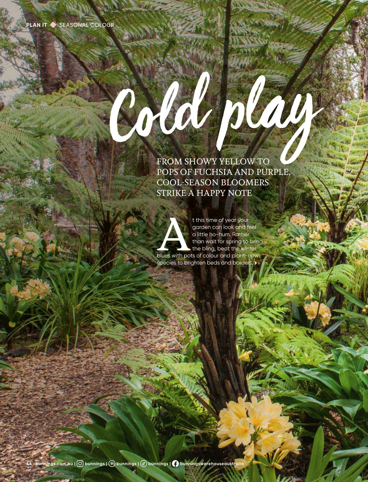 Bunnings Warehouse Magazine August Catalogues from 1 August