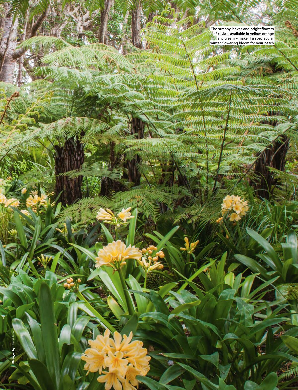 Bunnings Warehouse Magazine August Catalogues from 1 August