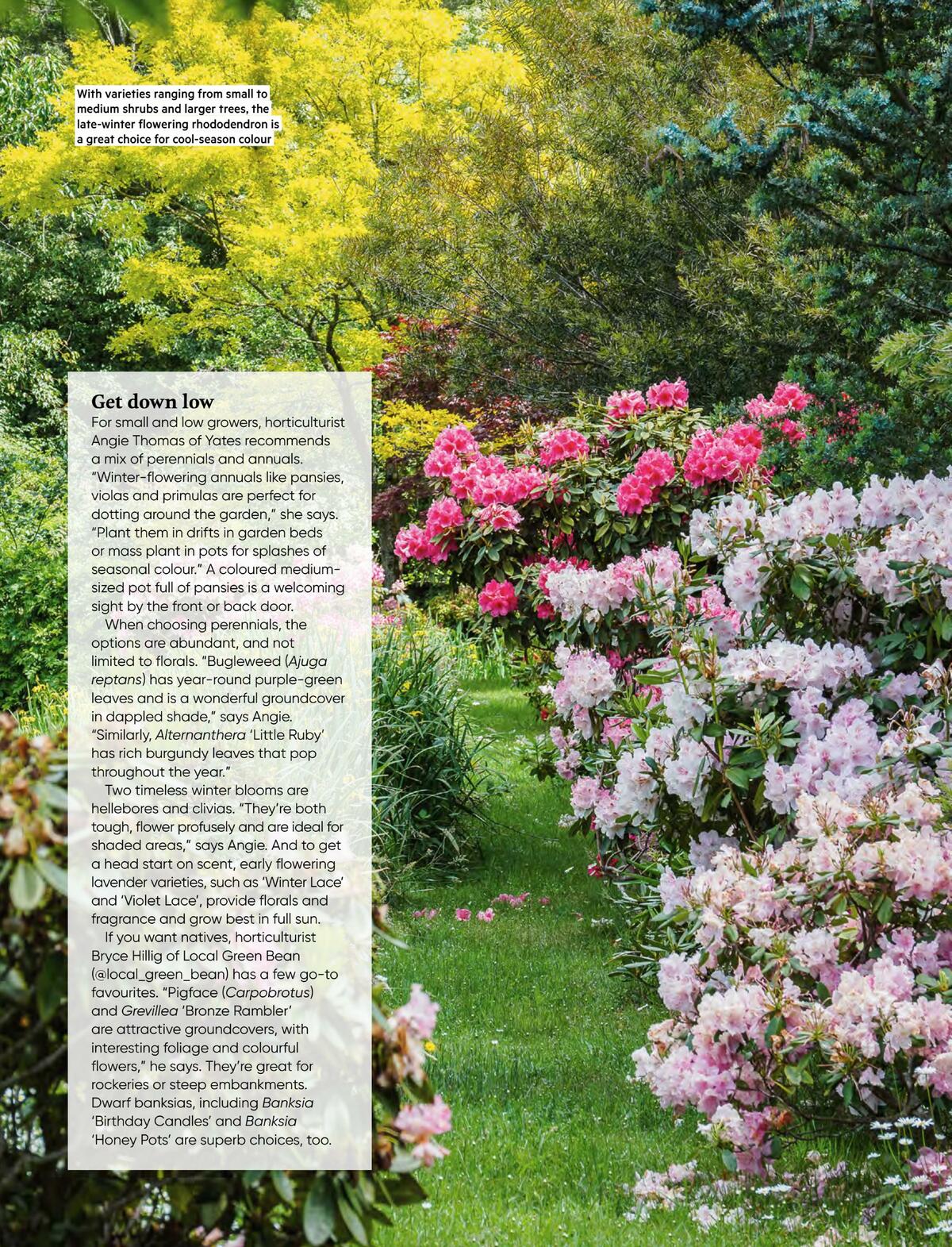 Bunnings Warehouse Magazine August Catalogues from 1 August