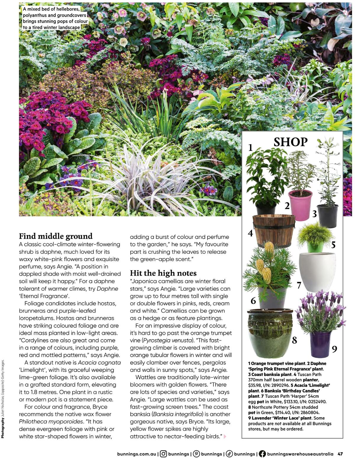 Bunnings Warehouse Magazine August Catalogues from 1 August