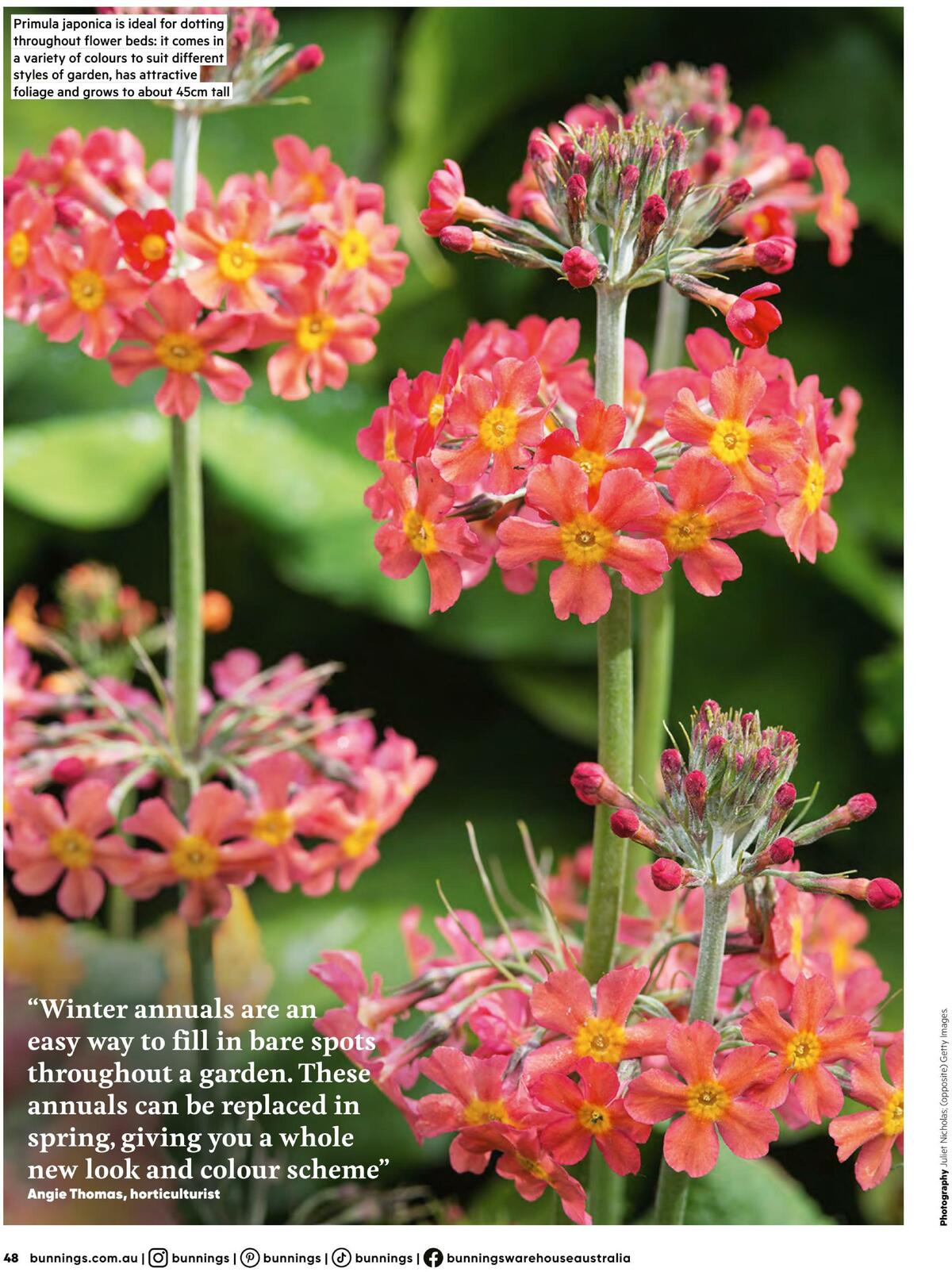 Bunnings Warehouse Magazine August Catalogues from 1 August