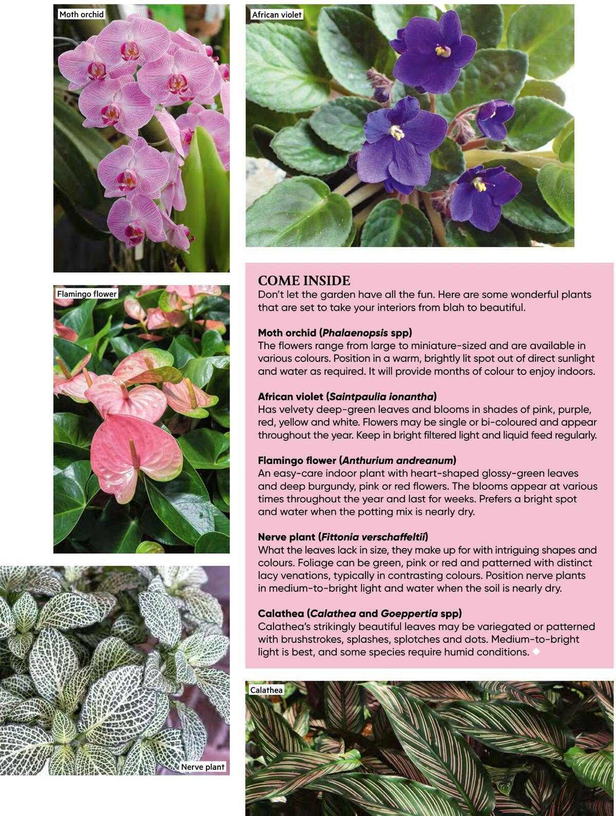 Bunnings Warehouse Magazine August Catalogues from 1 August