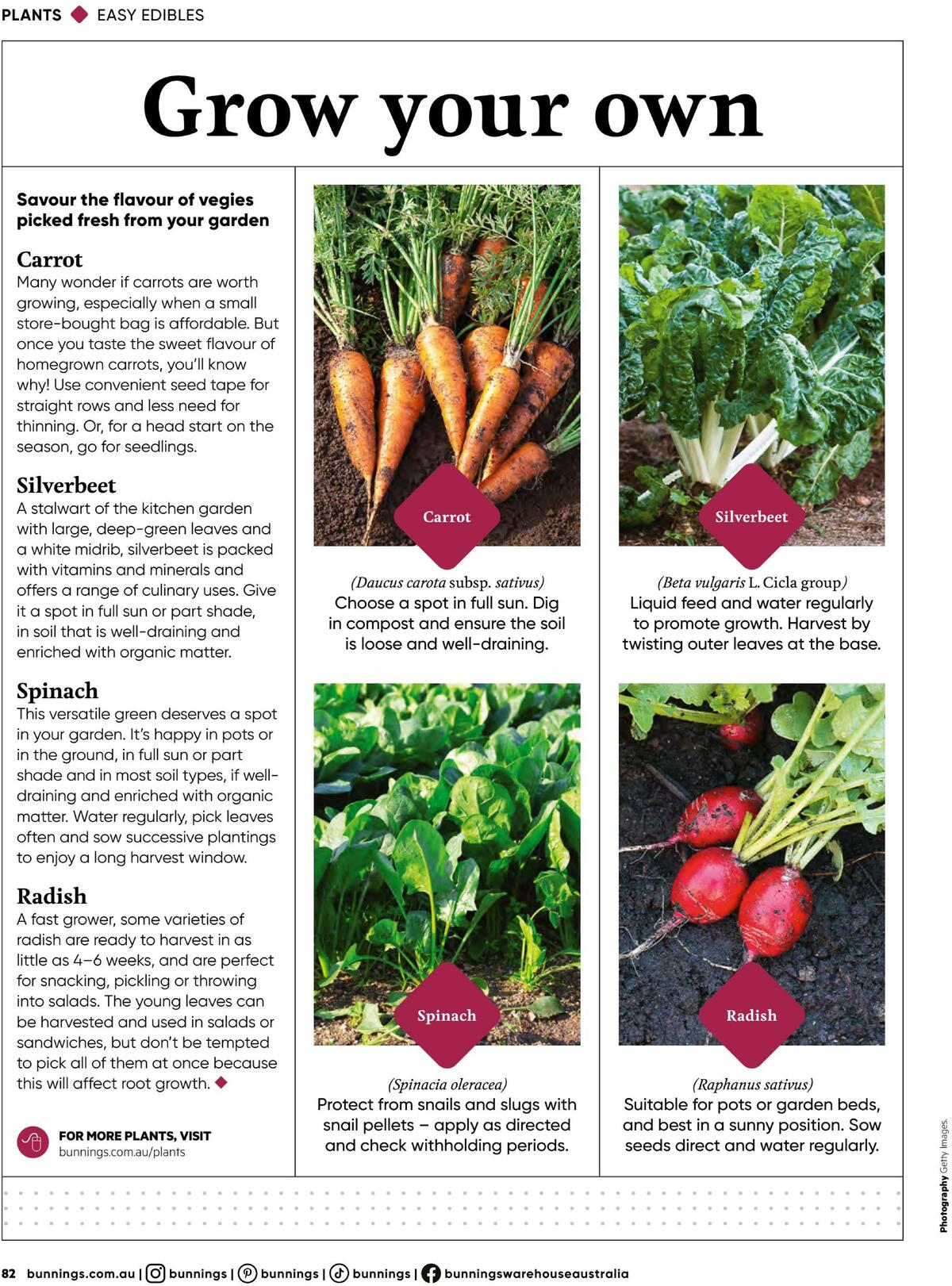 Bunnings Warehouse Magazine August Catalogues from 1 August