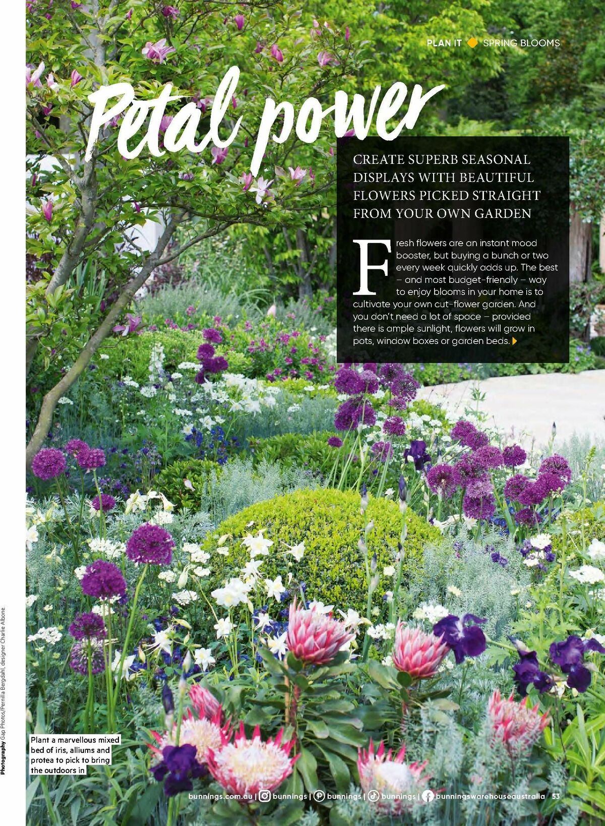 Bunnings Warehouse Magazine September Catalogues from 1 September