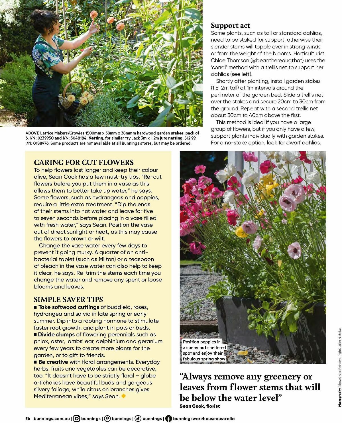 Bunnings Warehouse Magazine September Catalogues from 1 September