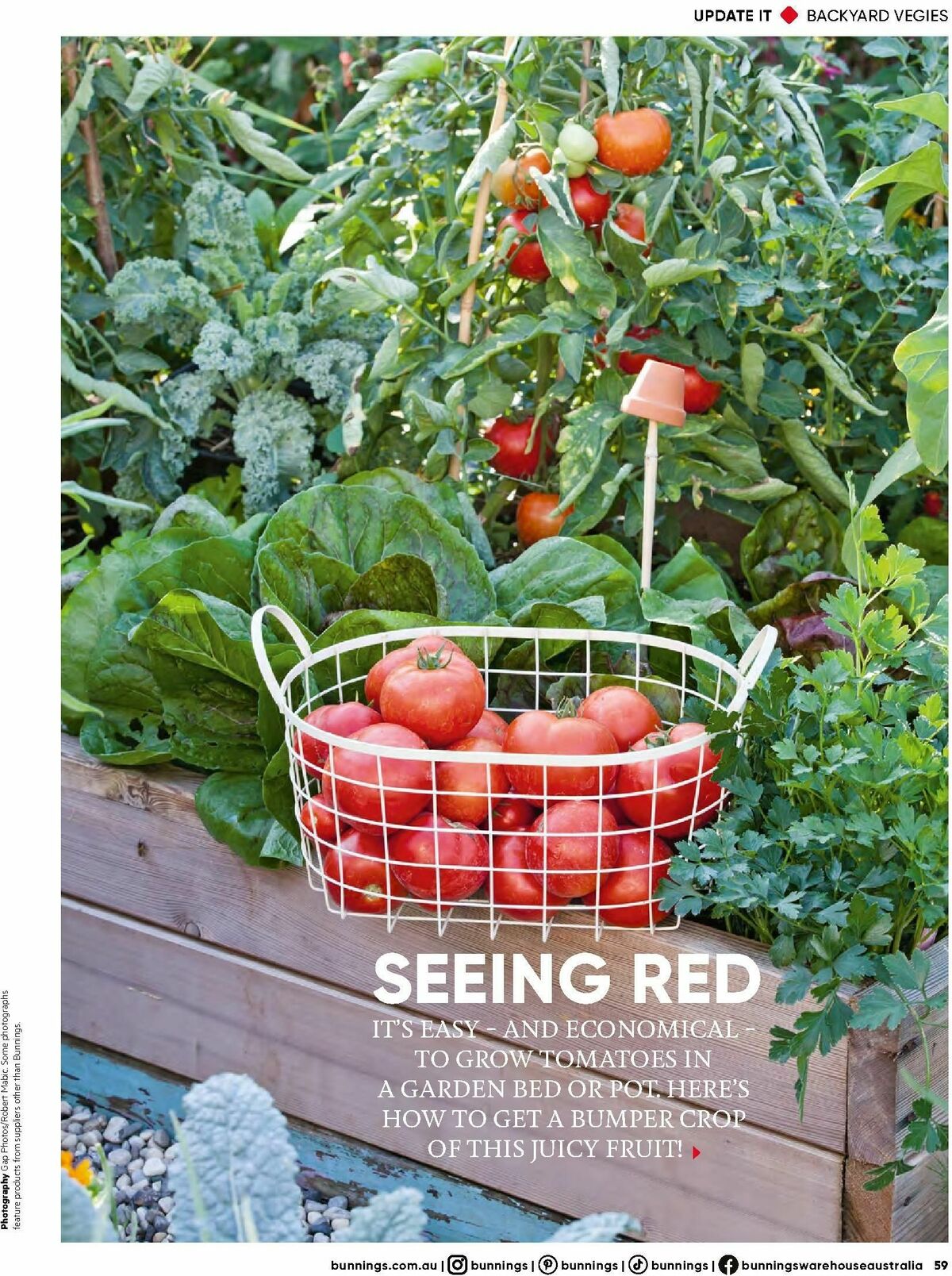 Bunnings Warehouse Magazine September Catalogues from 1 September