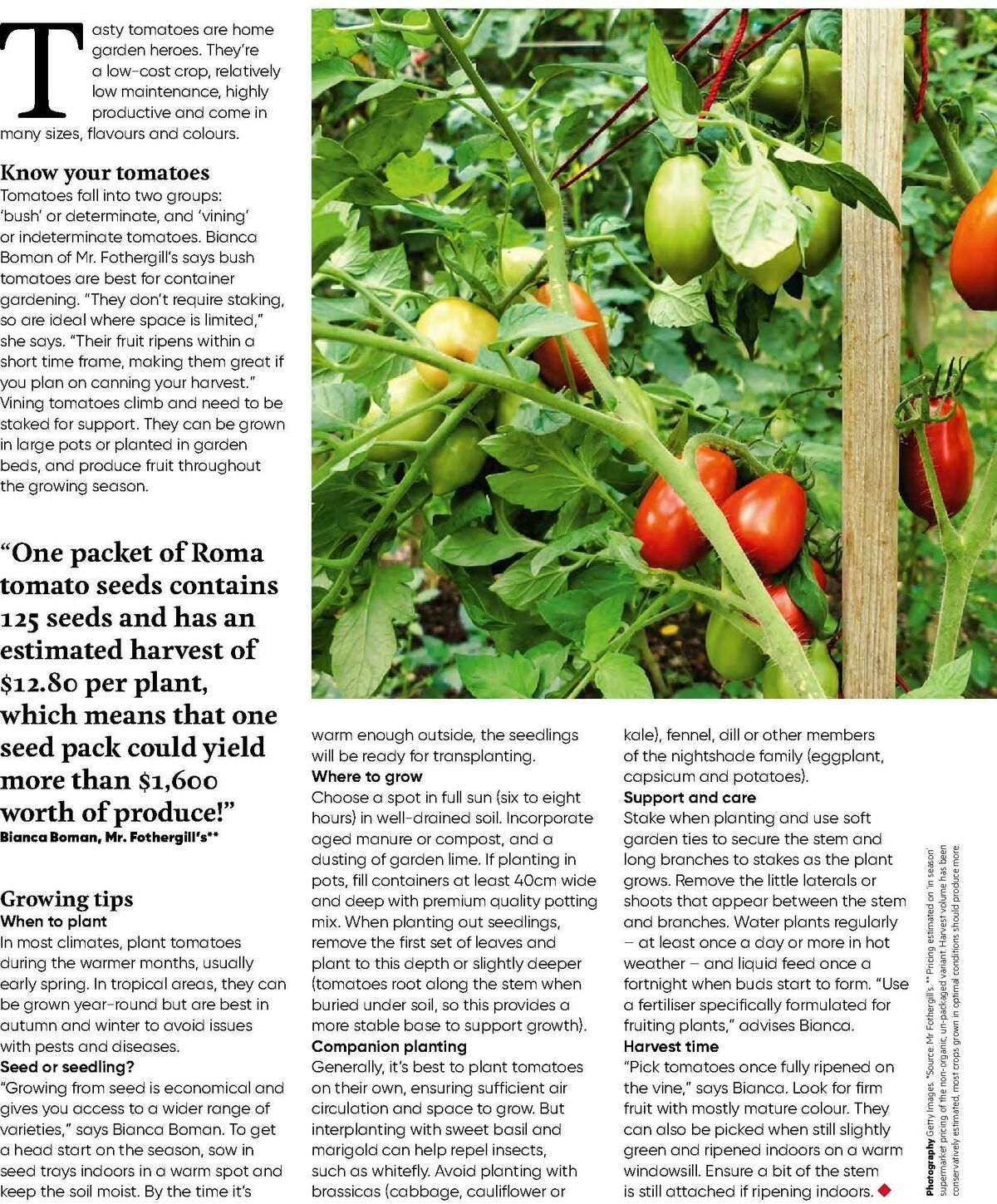 Bunnings Warehouse Magazine September Catalogues from 1 September