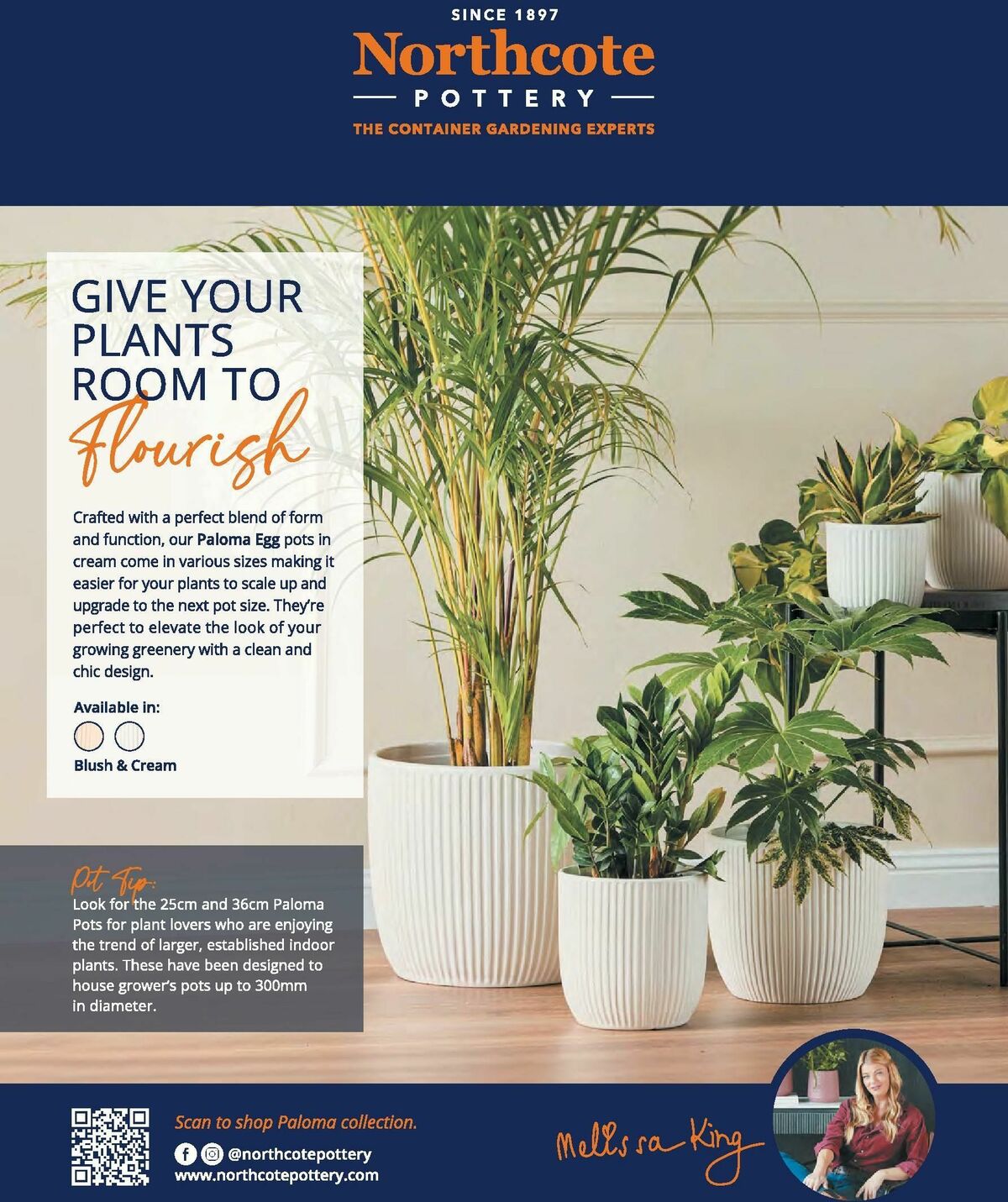 Bunnings Warehouse Magazine September Catalogues from 1 September